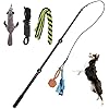 Flirt Pole for DogsCollapsible Extendable Dog Teaser Wand with Plush Squeaky ToyChase Rope Ball Toy Agility Training Equipment Playing Exercise Tools for Small Medium Large Dogs