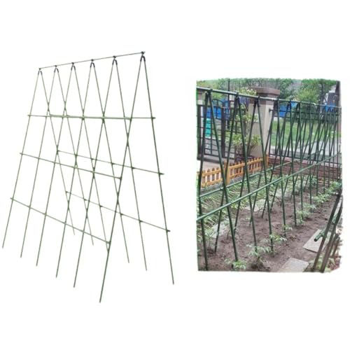 Emuia LE S[p Ax Zbgi120cm×120cmj gݗĊȒP  |x t[X^h ƒ؉ x_͔| uhEI ؒI 󒆍͔| K[fjO peBI Op ό  (a20m