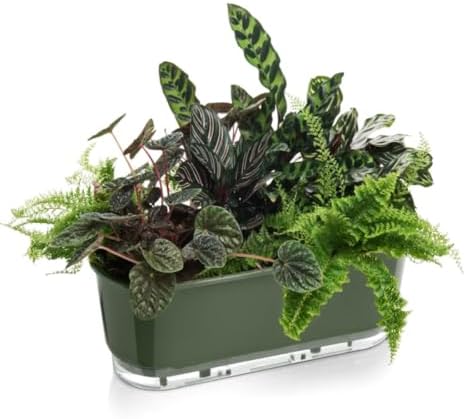 Jardineira Autoirrigável Verde Militar 40cm x15cm - Coleção Terra...