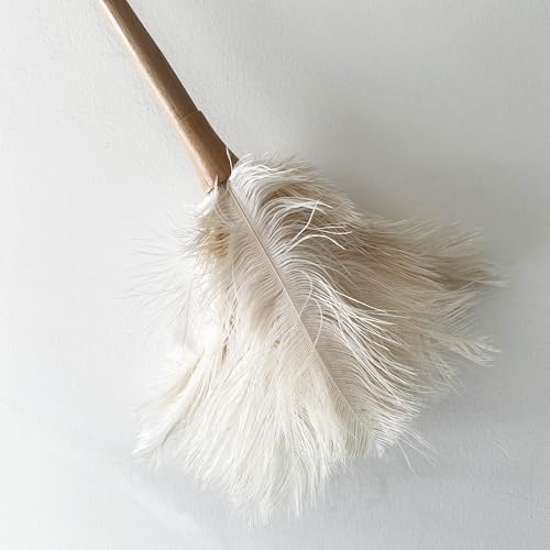 Image of 19.7 Inch Ostrich Feather Duster - Soft Dusting Brush for Home, Office, and Furniture Cleaning (Off White)