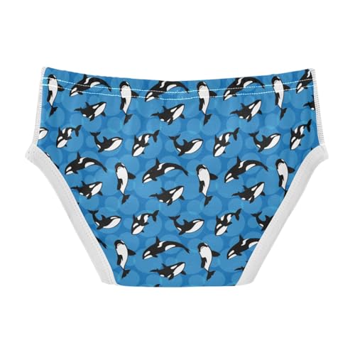 Boys' Exclusive Briefs Toddler Underwear 95% Combed Cotton Boxerbriefs 2T Orca Whale Pattern 502