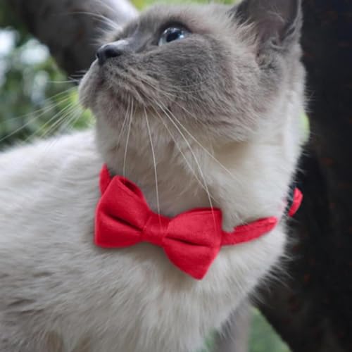 Schmetterling für Katzenhalsband – gleitende für Katzenhalsband, Fliege für Katzen für Hunde | vielseitiges Halsbandzubehör für kleine Haustiere