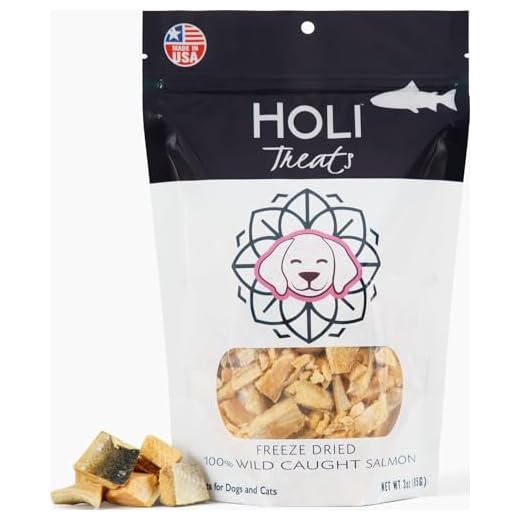HOLI Freeze Dried Salmon Dog Treats - with Omega 3 and 6 Fish Oil - All Natural Dog Treats - Freeze Dried - Human Grade - Wild Caught Skin on Salmon - Made in USA - Grain Free - Diabetic Friendly