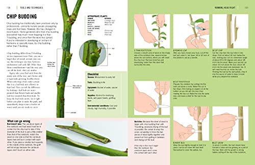 The Plant Propagator's Bible: A Step-by-Step Guide to Propagating Every Plant in Your Garden - Image 4