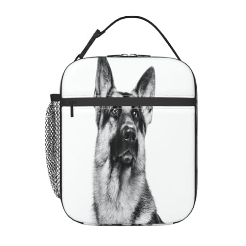 |[^ufM`obOBhƘRh~AX^CbVŏvBdAwZAAEghAɍœKłBjɂɂKĂ܂B(̉ԕAfpȔ_̓Acɂ̖쐶̉ԁAʉAnCrXJXAfCW[1)