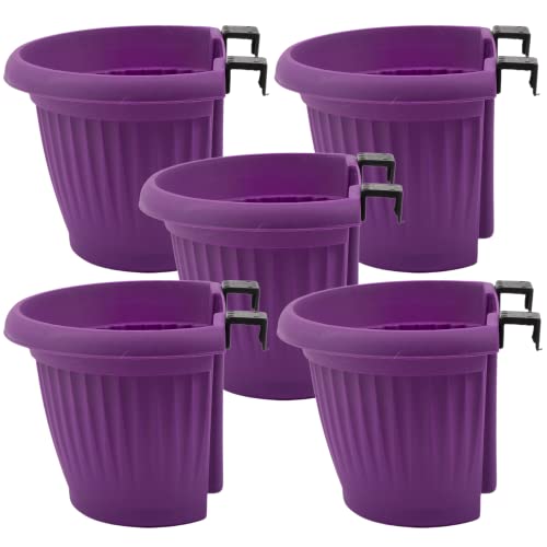 Hug A Plant |Bello Wall Planter 20CM Purple Hanging Plastic Pot for Home & Garden Decor (20CM|8 INCH, Pack of 5) (B0BLXQ11G2) Amazon Price History, Amazon Price Tracker