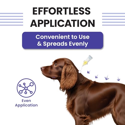 Image of Vivaldis VI-FI Forte 1.34 ml - Single Pipette - Spot on Solution for Prevention & Effective Control of Flea, Tick & Chewing Lice Treatment for Dogs Weighing from 10 to 20 kg (Pack of 2)