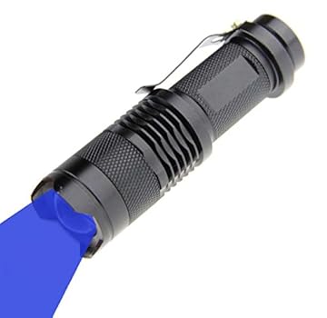 blue fishing light