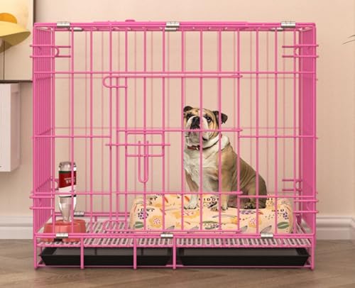 Wixero ybgP[W pN[g  ܂ݎ gݗĊȒP  ʋC pr ^   L {  (L,sN)