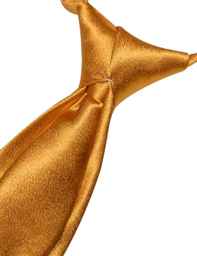 Image of Barry.Wang Boys Ties Pre-Tied Satin Solid Color Kids Tie Pocket Square Set Adjustable Formal Necktie Graduation School