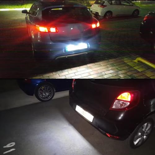 Luz de matrícula para pasar la ITV en Twingo 2 y Clio 3 lámpara de placa 6