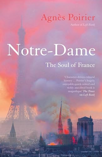 Notre-Dame view 2
