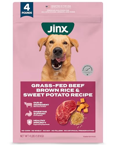 Jinx Premium Dry Dog Food, for All Lifestages - Real Beef, Brown Rice & Sweet Potato Kibble with Superfoods for Immune Support & Probiotics for Digestive Support - No Fillers - 4lb