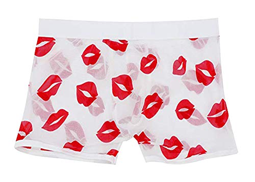 Meykiss Sexy Mesh Men's Lips Pattern See-Through Underwear Boxer Briefs White