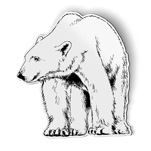 Polar Bear - 5