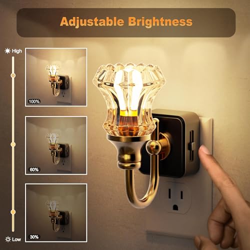 Image of JandCase Night Light, Night Lights Plug into Wall, Glass Floral Nightlight