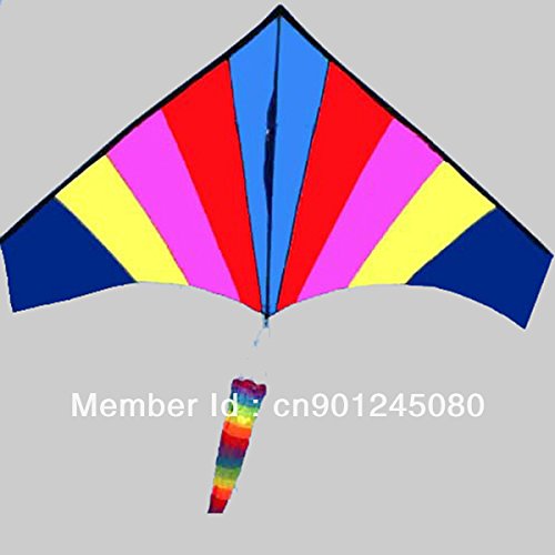 Professional Single Line Delta Kite 1.8m Rainbow Kite
