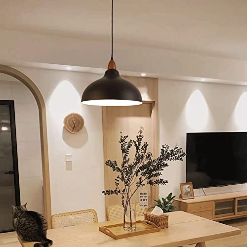 Lámpara colgante E27 de estilo simple e iluminación de techo para salones 6