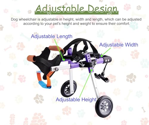 Silla de ruedas para perros lesionados que devuelve la alegría de caminar 4