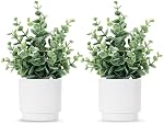 Coferset 2 Pack Small Fake Plants Mini Eucalyptus Potted Artificial Greenery for Home,Office,Bathroom Shelf Farmhouse Decor-Sage Green