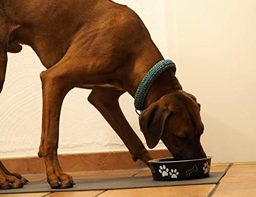 SanoZoo® Napfunterlage - Öko-TEX - Made in Germany - rutschfeste Futtermatte für Hunde & Katzen 30x40cm Hellgrau, wasserfest - Image 4