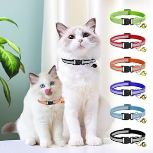 Buraq Pets 2 Pcs Reflective Cat Collar for Indoor & Outdoor Use, Strong Breakaway Cat Belt, Adjustable & Durable, Accessories for Cats – Color May Vary (Pack of 2)
