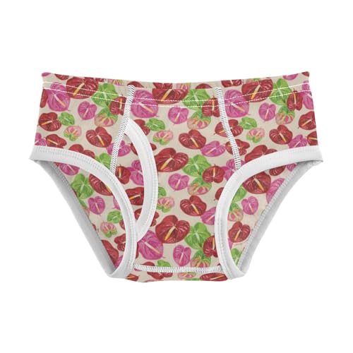 Boys' Exclusive Briefs Toddler Underwear 95% Combed Cotton Boxerbriefs 2T Anthurium Pattern 57