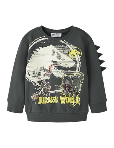 Sudadera Name IT Jurassic suave y cómoda para niños activos