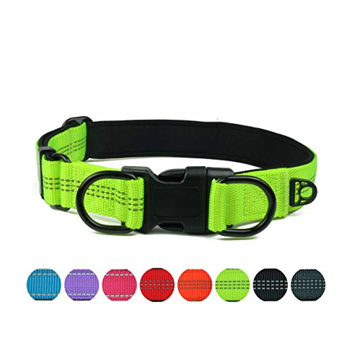 Best Reflective Dog Collars