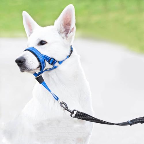 Hundehalfter Kopfgeschirr - Verhindert, DASS Ihr Hund an der Leine zieht, Einfache Anpassung,mit gepolstertem Nasenriemen, Anti-Zug-Halsband für kleine, mittelgroße und große Hundegrößen (Blau, L)
