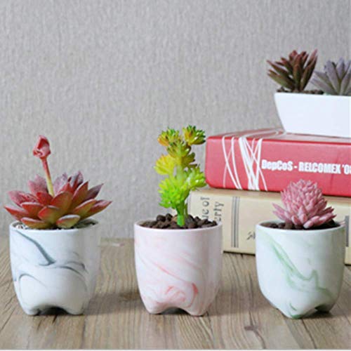 Xihaoer Bloempotten van 4 Pack, Keramische Bloempot Eenvoudige Desktop Creatieve Mini Sappige Pot Nordic Stijl voor Thuis Tuin Decoratie