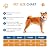 3-Flap Dog Door, Pet Door for Dogs, Pet Door for Wall, ABS Frame and Telescoping Tunnel, Safty Lock, Double Flap Dog Door and Cat Door, Strong and Durable, Large Size