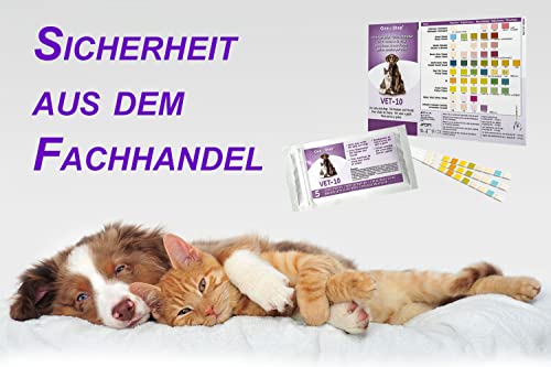 One+Step Urin Teststreifen für Katzen und Hunde 5 Stück I Schnelltest zur Prüfung von 10 Gesundheitswerten I Haustier Schnelltest I Tierurinanalyse I Veterinär Test