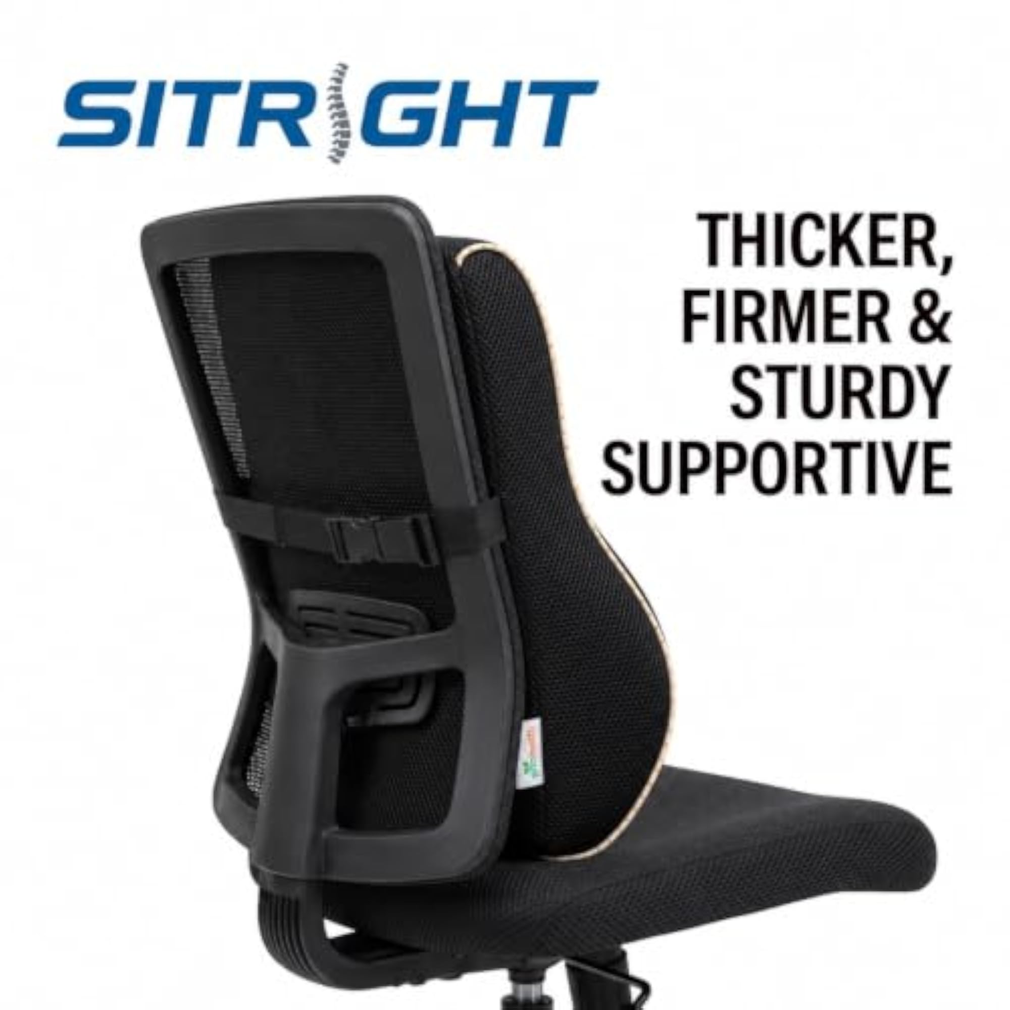 SitRight Ergonomic Back Support Memory Foam Cushion