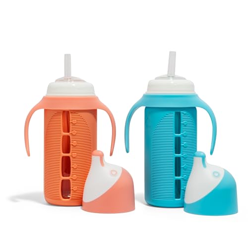 Tabor Place Set of 2 - Glass Sippy Cup for Toddlers - The...