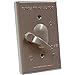 Raco #5121-0 Grey WP 1G SP SWT Cover