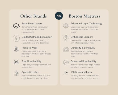 Image of Boston Zenith Premium 8-Inch Certified Natural Latex Mattress | Queen Size (75x60x8 Inch), Soft | Graphite Infused | High-Density Pocket Springs | Hypoallergenic | 5-Year Warranty