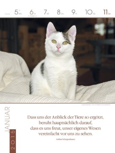 Katzen 2015: Literatur-Wochenkalender
