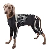 Costume D’halloween Pour Chien - Vêtements Squelette Respirants Et ÉLastiques | Polyester Spandex Déguisement Gros Chiens | Tenue De Fête Confortable Et Amusante Pour Automne Cosplay Photos