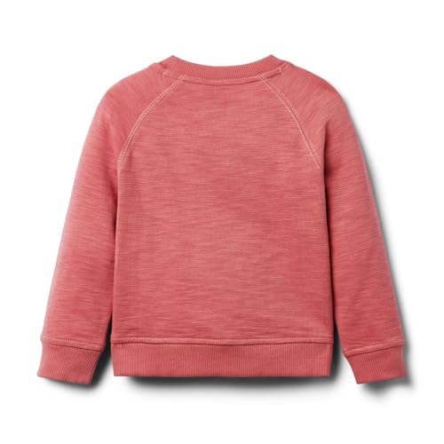 Janie and Jack Boys Slub French Terry Crew Neck (Toddler/Little Big Kid)2