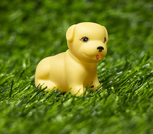Image of Tickles Go Beach or Pool Summer Magic Men Doll with Puppy Accessories Set for Kids Girls Birthday Gift (Doll Size: 15 cm; Number of Pieces: 4)