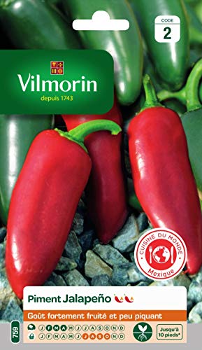Vilmorin - Pimiento Jalapeno - origen mexicano - Sabor muy afrutado y poco picante - Nota 5/10 en la escala de Scoville