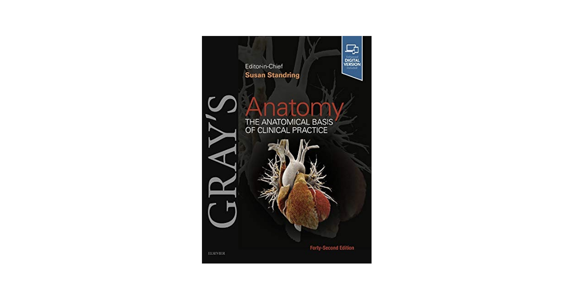Amazon.com: Gray's Anatomy E-Book eBook : Standring, Susan