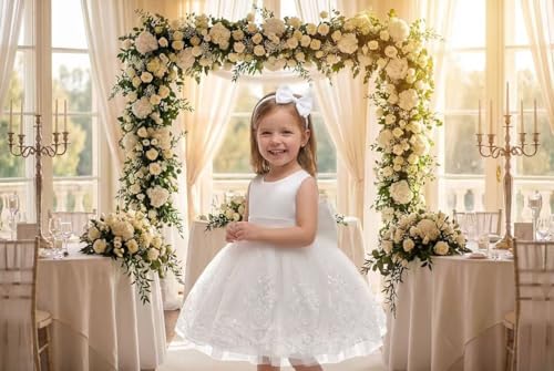 Image of TUIJI 0-6T Big Bowknot Toddler Baby Girls Formal Dresses Pageant Party Lace Embroidery Dress with Headwear