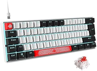 UK Layout 60% Mechanical Gaming Keyboard Type C Wired 61 Keys LED USB Waterproof Keyboard 14 Chroma RGB Backlight Anti-ghosting Keys+Extra Keycaps for Computer/PC/Laptop/MAC (White/Red Switch)