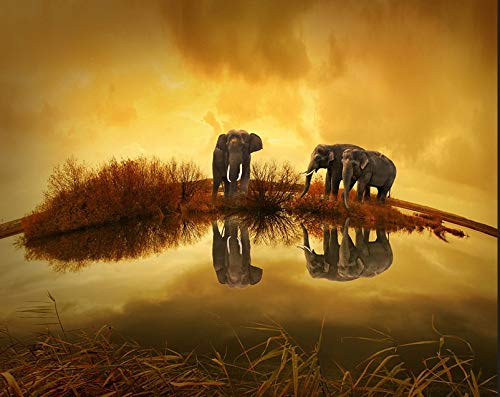 T-YIFUZX 5D DIY- Elefante Junto al Lago Kits de Pintura de Diamantes Taladro Completo Cristal Diamantes de imitación Imagen Artesanía para el hogar Decoración de Pared Regalo