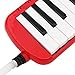 37 Piano Keys Melodica for Beginners - Comfortable and Black & White Keys, ABS Material, Includes Carrying