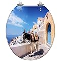 Round Toilet Seat Church donkey Oia Santorini island Greece sunny day Resin Toilet Seat Slow Quiet Close with Quick-Release Hinges Toilet Seat with Cover Easy to Clean Install
