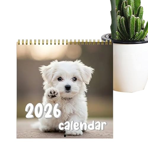 Funny Dog 2026 Ǌ|J_[ - qJ_[ Ǌ|^Cv,ƒ E p }X vi[ tBbglX ڕWǗ ƑXPW[