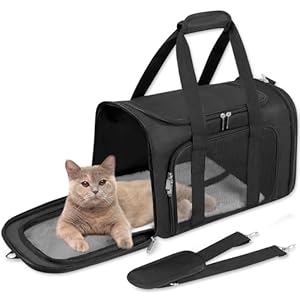 Soft-Sided Cat/Dog/Pet Carrier, Collapsible Pets Travel Carriers For Big Cats/Small Dogs With Shoulder Strap & Removable Mat, Mesh Puppy Carry Bag, Up to 16 Lbs, Airline Approved (BLACK)